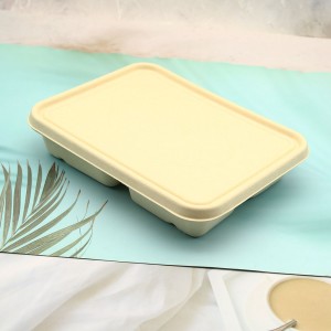Biodegradable Sugarcane Bagasse food packaging container with lid