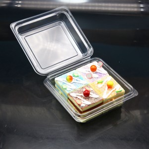 Square plastic clear small cake container with lid