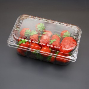 Packaging Fruit Container Clam Shell PET Punnet With Lid
