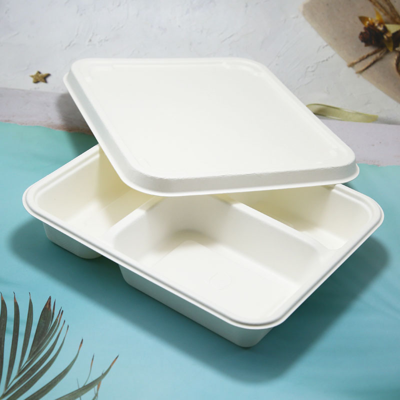 Disposable Biodegradable Sugarcane Bagasse food container