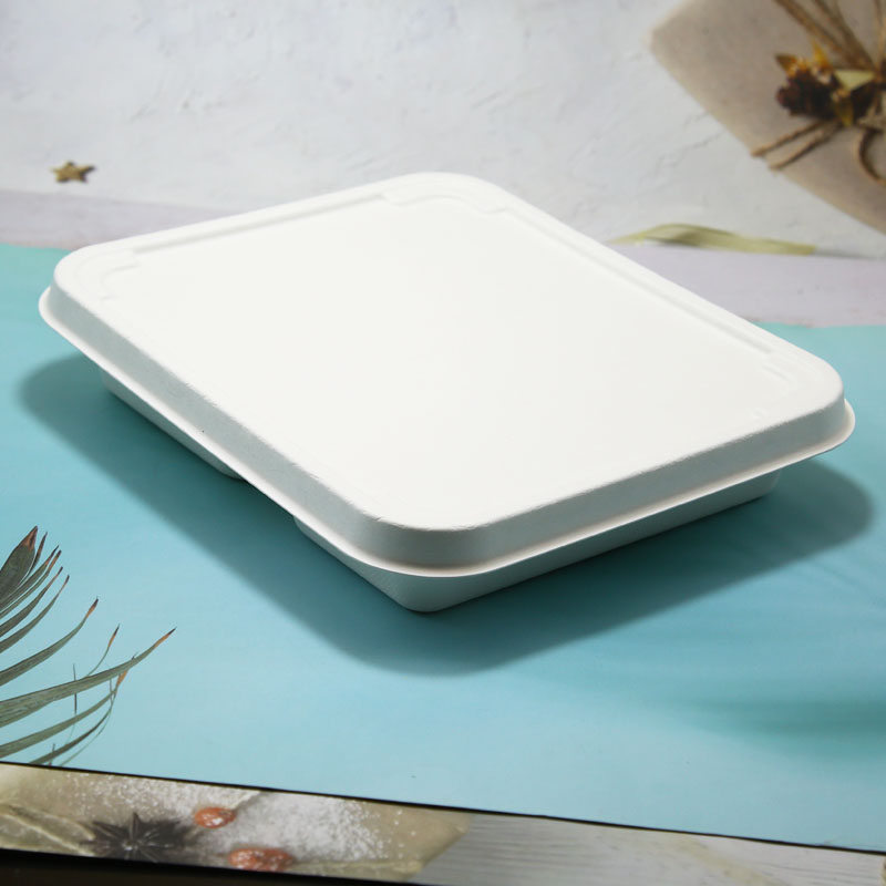 Disposable Biodegradable Sugarcane Bagasse food container