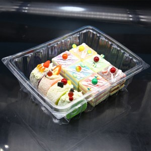 Disposable Plastic One Compartment Food Storage Cake Container