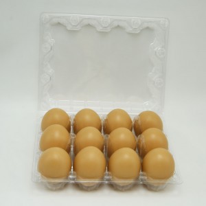 Disposable plastic food packaging box for egg