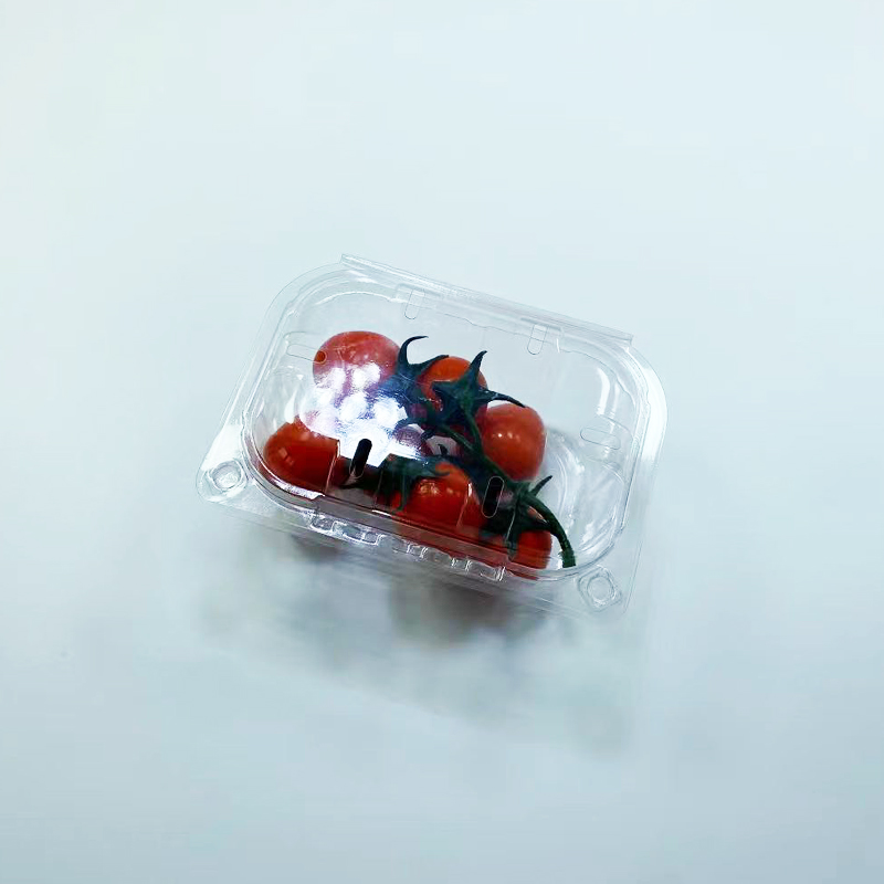 plastic transparent PET blister fruit clamshell Featured Image