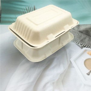 Biodegradable Sugarcane Bagasse Fast Food Container