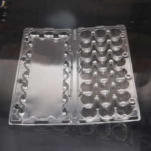 Disposable plastic 24 holes quail egg tray container