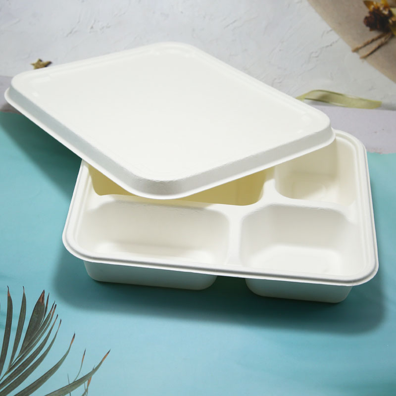 4 compartment Biodegradable Sugarcane Bagasse food packaging container