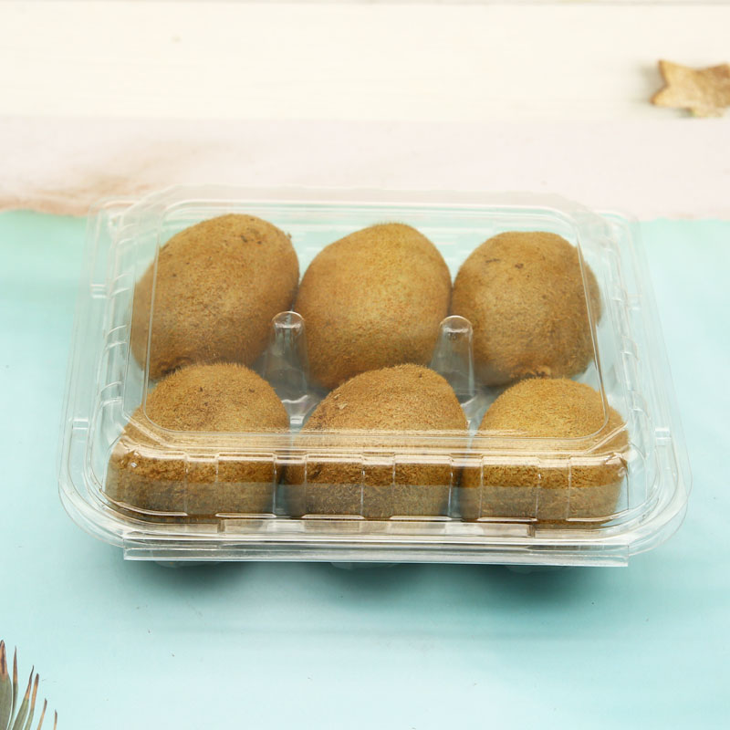 Disposable Plastic Clear Pet Fruit Clamshell Packaging for Kiwi