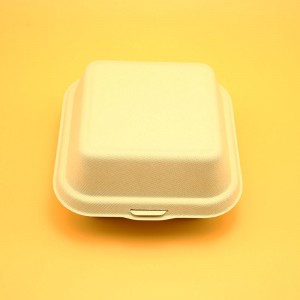 Square Biodegradable Sugarcane Bagasse food packaging container with lid