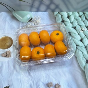 plastic clear food storage container for fruit