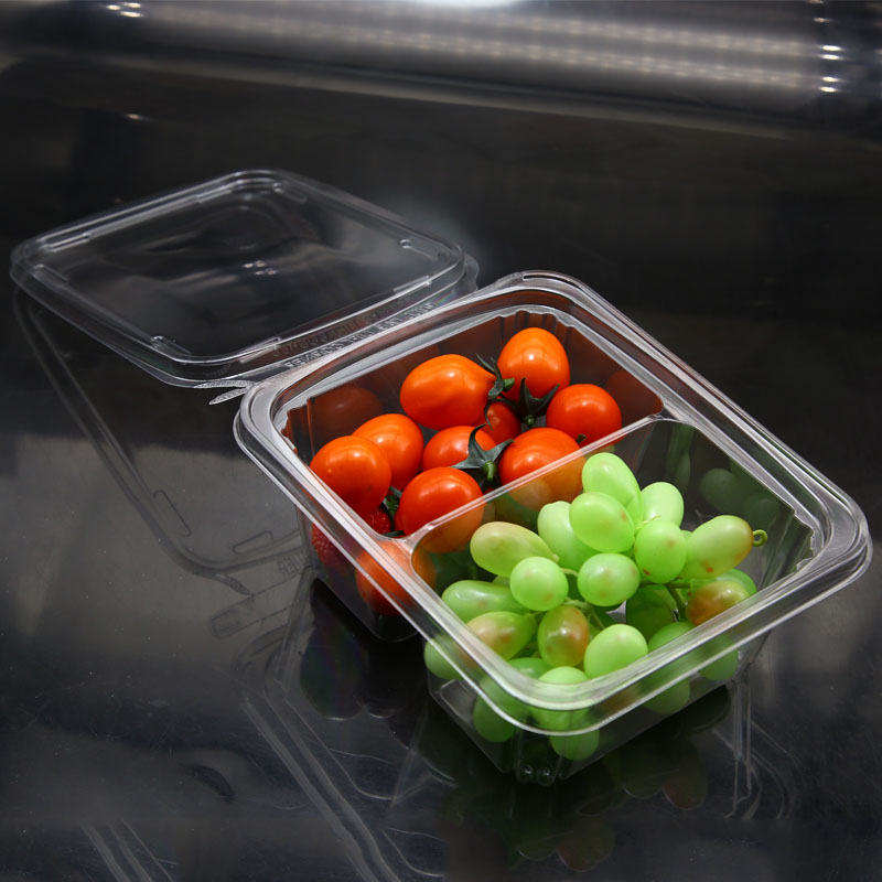 Disposable plastic Ripping Strip fruit Leakproof Packaging Box Featured Image