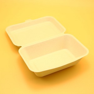 Biodegradable Sugarcane Bagasse fast food packaging container with lid
