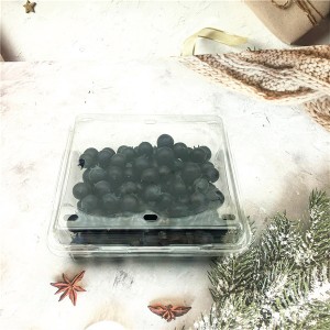 Food Packing Suppliers Competitive Price  Plastic Clamshell for Little Tomatoes 500g