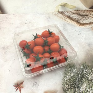 plastic clear fruit clamshell packaging with holes