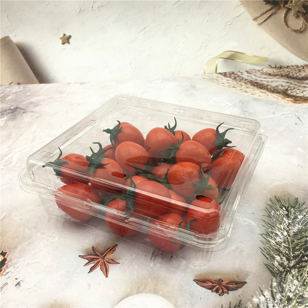 plastic clear fruit clamshell packaging with holes