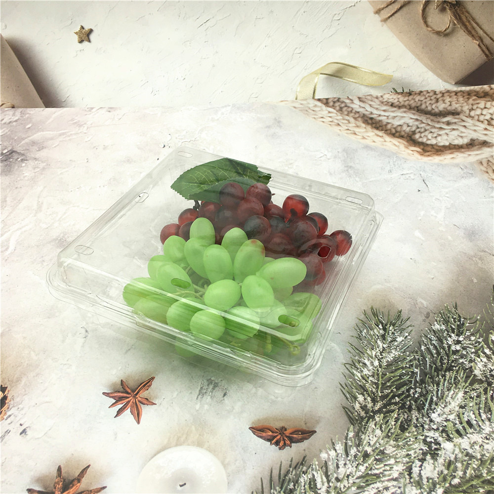 Plastic Blister Fruit Packaging Containers