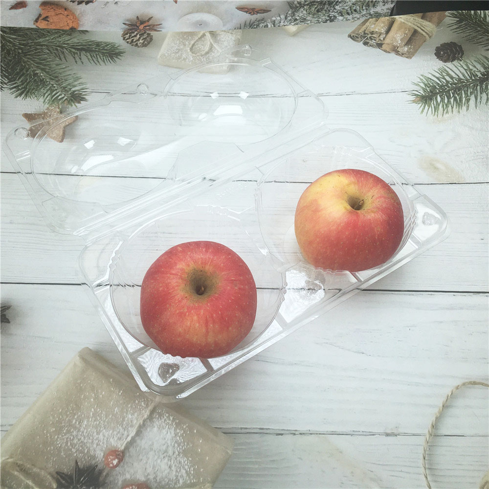 Hot Sale Apple Fruit Packaging for Fruit Packaging