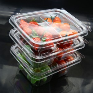 Plastic blister PET clear fruit clamshell with hinged lid packaging box