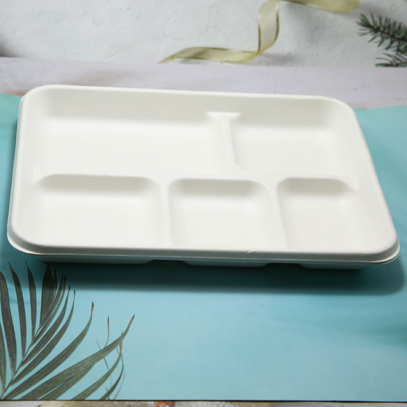 Disposable eco friendly sugarcane food plate