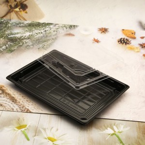 Disposable plastic take away sushi tray with lid