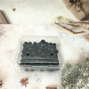 Recycable Clear Fruit Plastic tray with lids For Grapes 500g