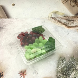 Plastic Fruit Clamshell PET Blister Packaging