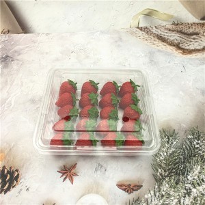 500g Clear Blister Plastic Clamshell With Holes and Leak-resistant For Strawberry