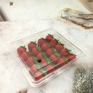 Plastic Clamshell for Food Fruit Packaging 500 Gram