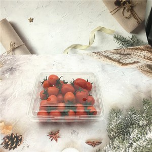 Food Packing Suppliers Competitive Price  Plastic Clamshell for Little Tomatoes 500g