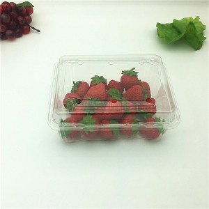 Kitchenware Drain Basket Plastic Box for Fruits and Vegetables 500g