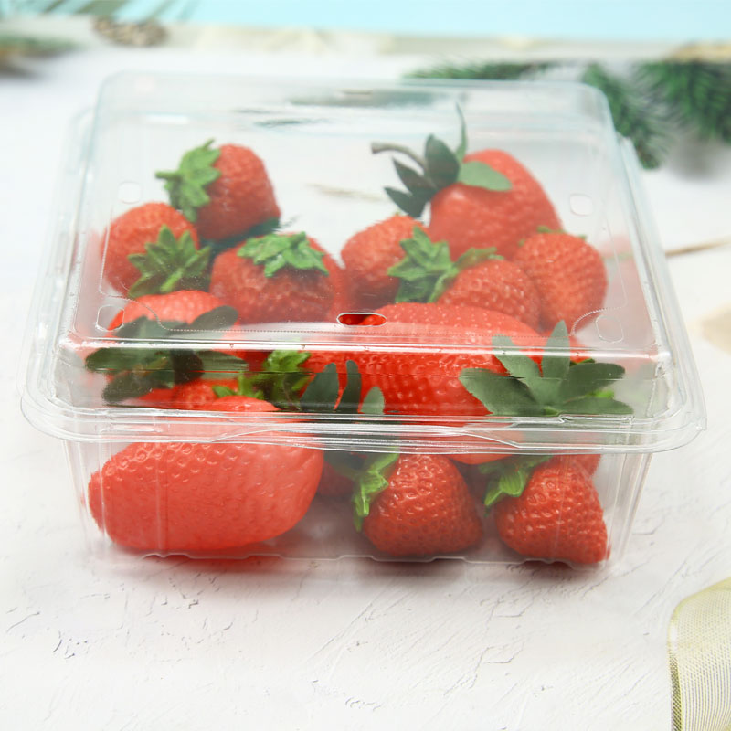 Blister PET Plastic Clamshell for Food Fruit Packaging