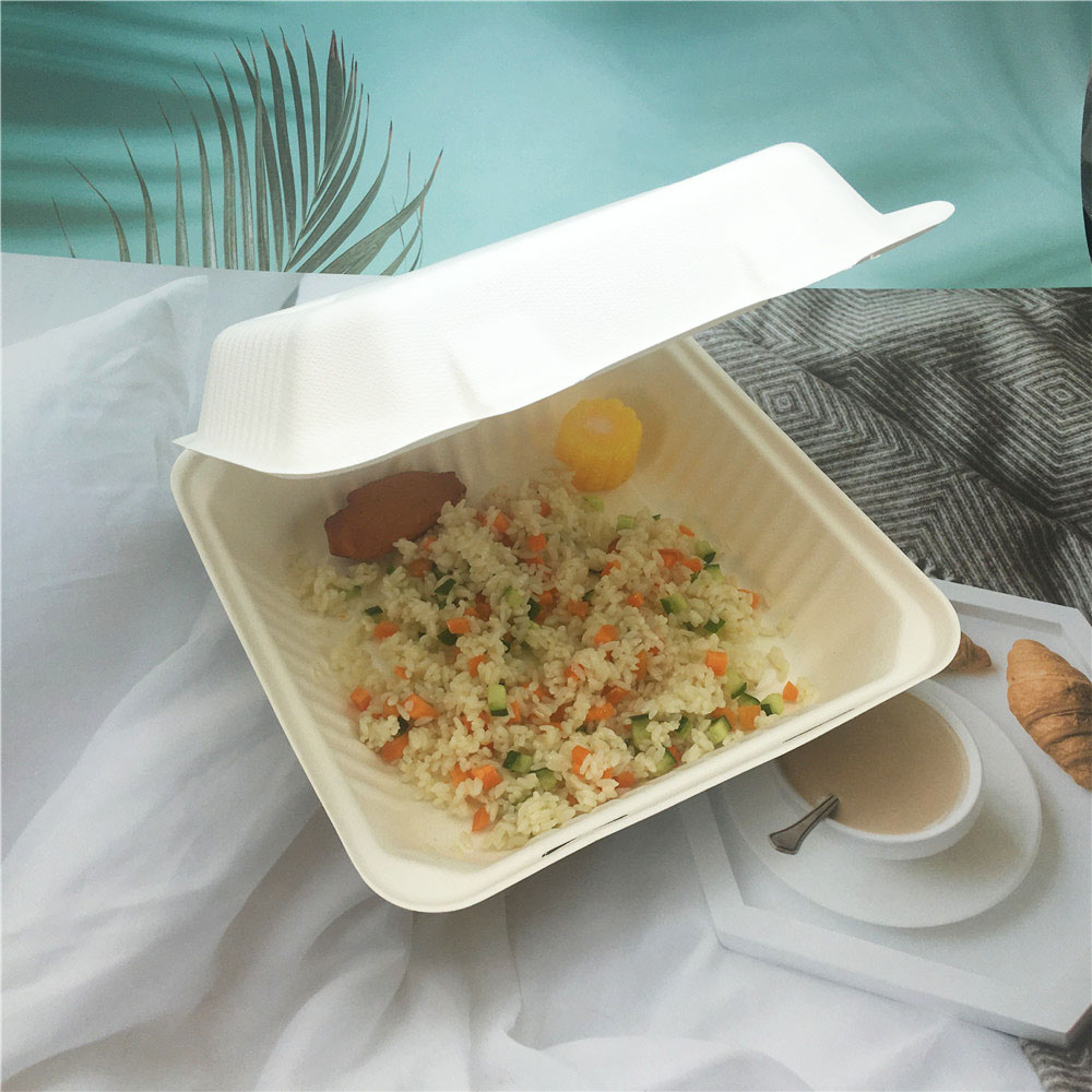 Sugarcane Bagasse Tableware Disposable Take out Food Container Featured Image
