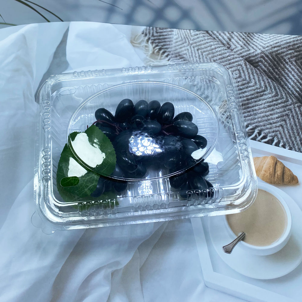 plastic clear fruit clamshell box with lid