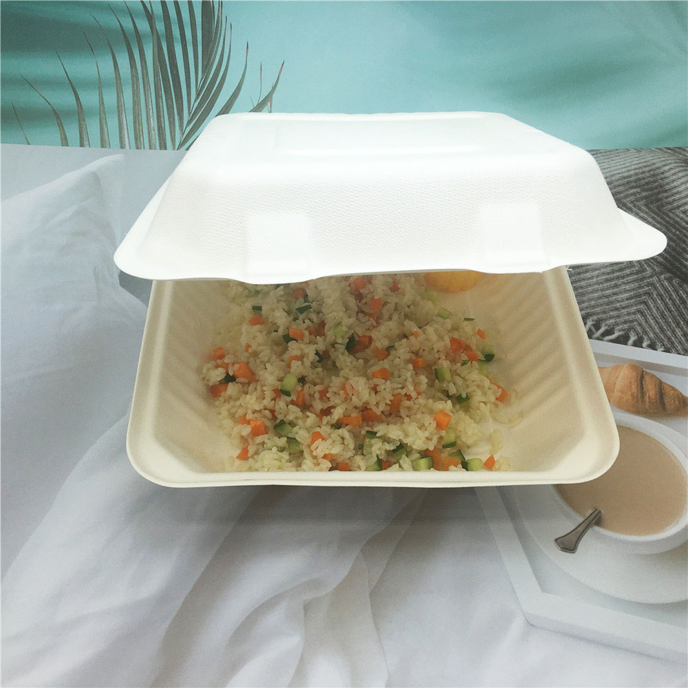 Sugarcane Bagasse Tableware Disposable Take out Food Container