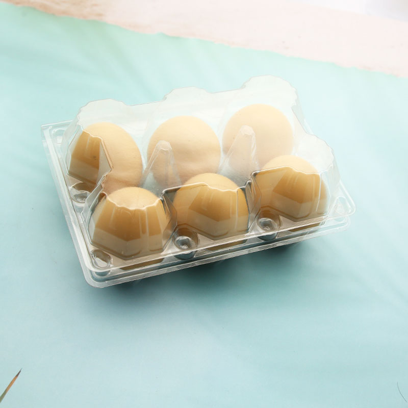 6holes Packing PET Plastic Chicken Egg Tray