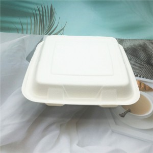 Customized Sugarcane Food Packaging Take out Food Container