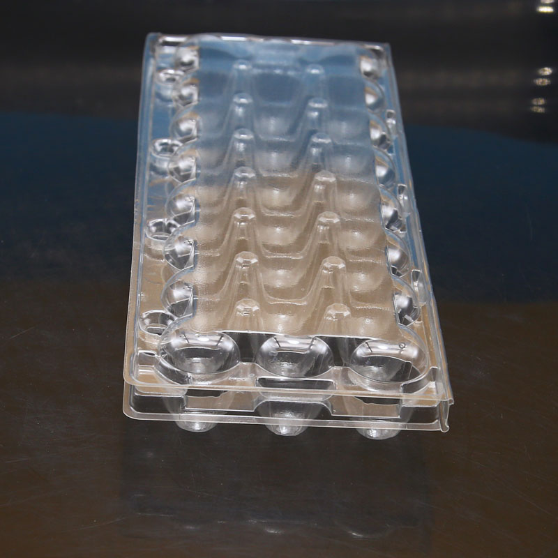 Plastic blister clear PET 24 holes quail egg tray