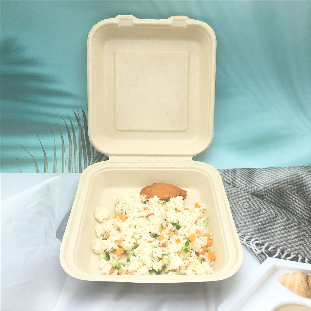 Customized Sugarcane Takeaway Food Container