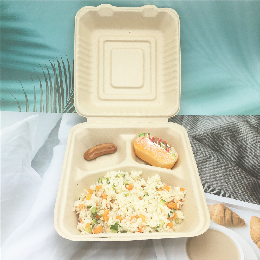 Biodegradable Compostable Paper Tableware Sugarcane Bagasse Food Containers