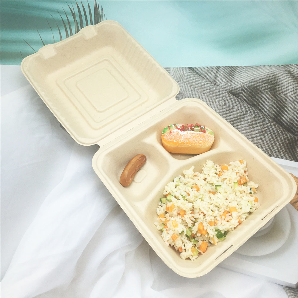Biodegradable Sugarcane Bagasse Food Containers
