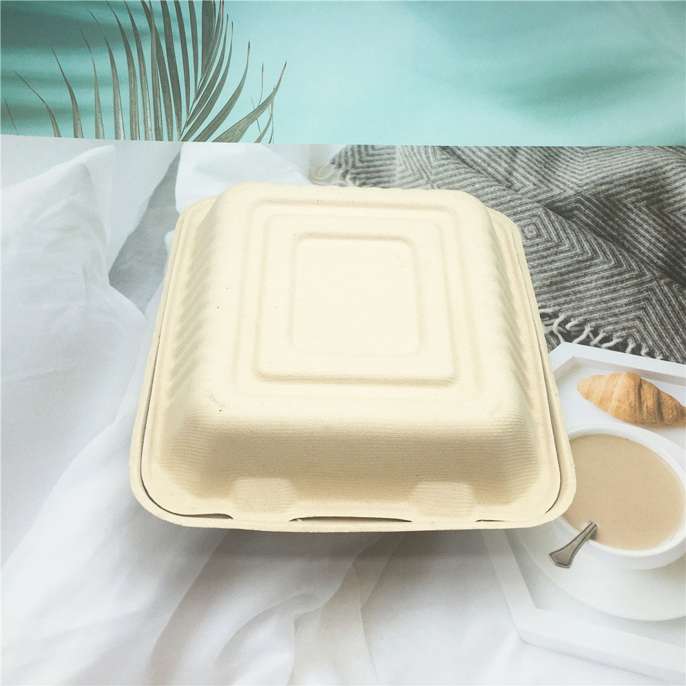 Biodegradable Sugarcane Bagasse Food Containers