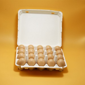 Pulp paper 20holes chicken egg tray with lid