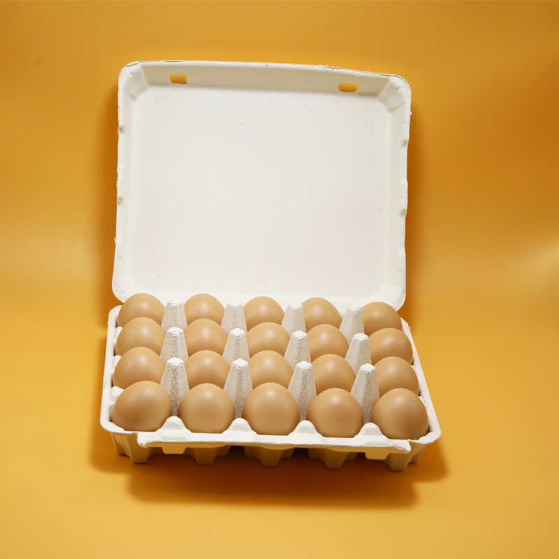 Pulp paper 20holes chicken egg tray with lid