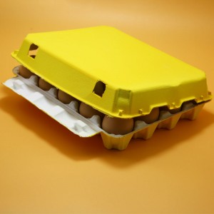 Good quality 6 Egg Tray - Biodegradable Yellow color Paper Pulp 20 Egg Tray – Globalink