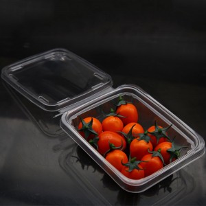 Disposable PET plastic blister clear fruit clamshell with lid