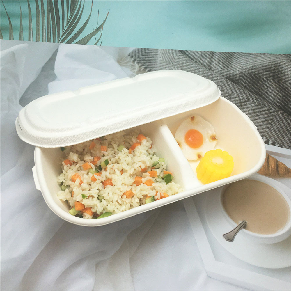 Take Away Compostable Biodegradable Bagasse Takeaway Food Container
