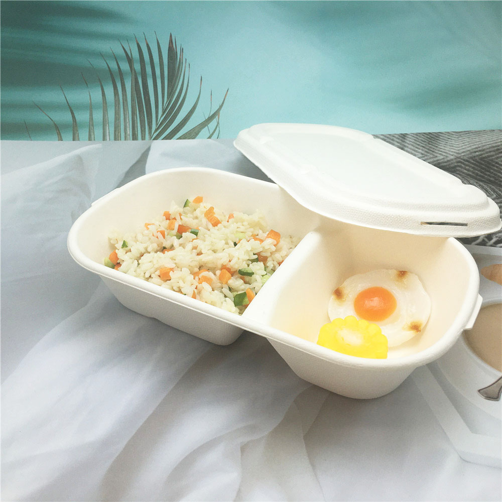 Take Away Compostable Biodegradable Bagasse Takeaway Food Container