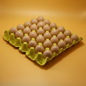Hot-selling Egg Rack Wooden - Paper Pulp 30 Cells Egg Tray packaging  – Globalink
