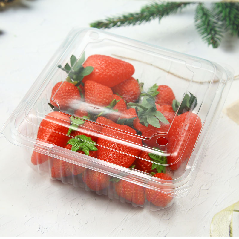 Vacuum Formed Blister Packaging Plastic Clamshell for Food Fruit Packaging