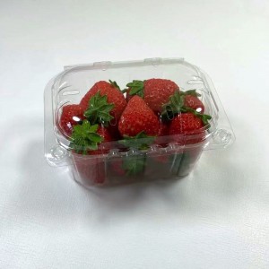 Food Grade Pet Fruit Packing Blister Clamshells for Tomatoes 250 Grams